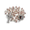 A silver-plated rosary with red rhinestone beads and a heart-shaped Immaculate medallion with Celtic Crucifix.