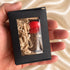 Holy Soil from Jerusalem – Authentic Holy Land Keepsake