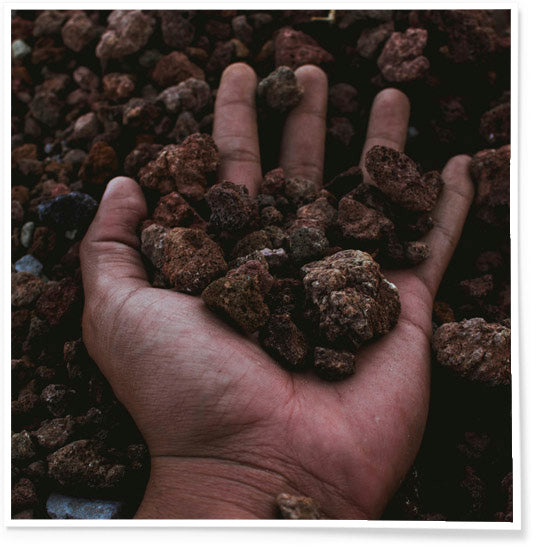 Close-up image of a man's hand gently holding Holy Soil from the Holy Land.
