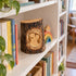 Bethlehem Olive Wood Guardian Angel Plaque in Natural Bark