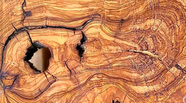 Why Olive Wood Matters | Sacred Trees of the Holy Land